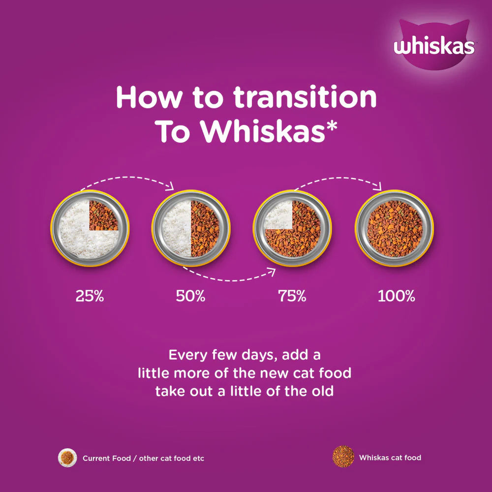 Whiskas Ocean Fish Kitten Dry Food