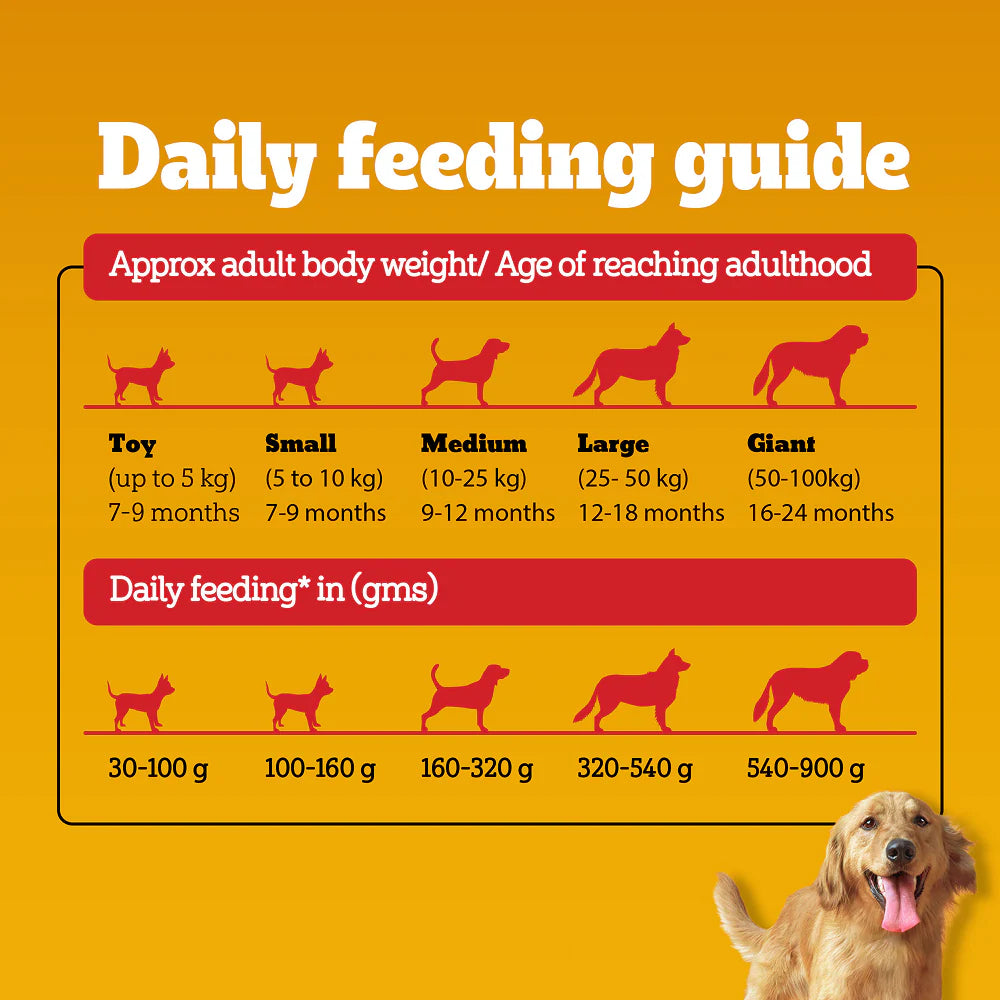 Pedigree Chicken and Vegetables Adult Dog Dry Food