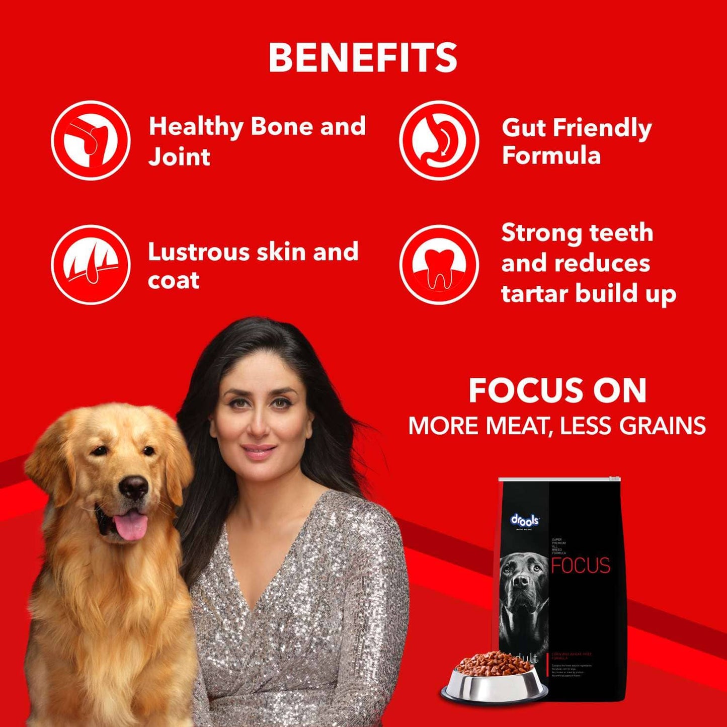 Drools Focus Adult Dog Food – Super Premium, Corn & Wheat Free