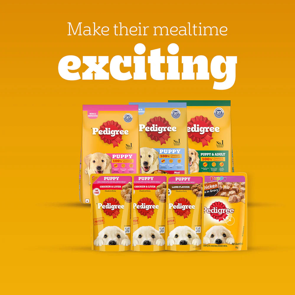 Pedigree Chicken and Milk Puppy Dog Dry Food (Agra)