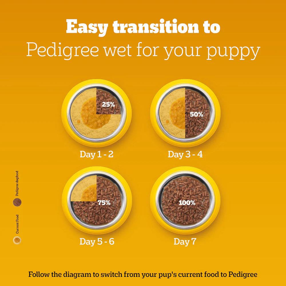 Pedigree Chicken and Milk Puppy Dog Dry Food (Agra)