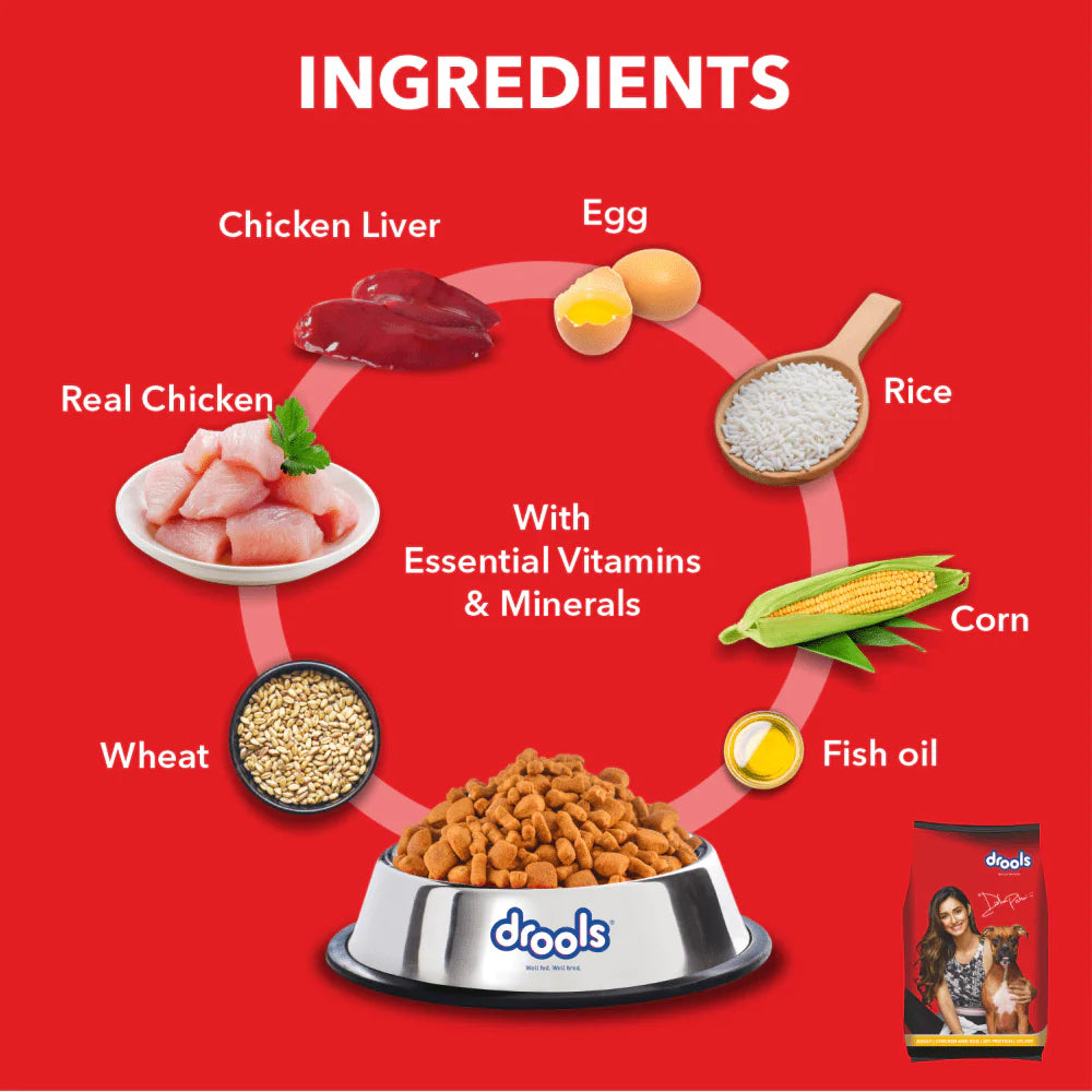 Drools Chicken And Egg Adult Dog Dry Food (Agra)