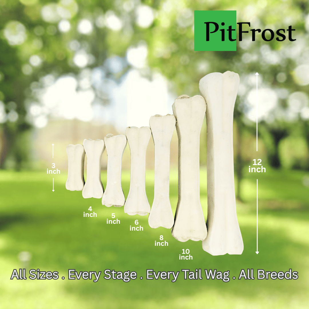 PitFrost Chew Bone 12 Inch