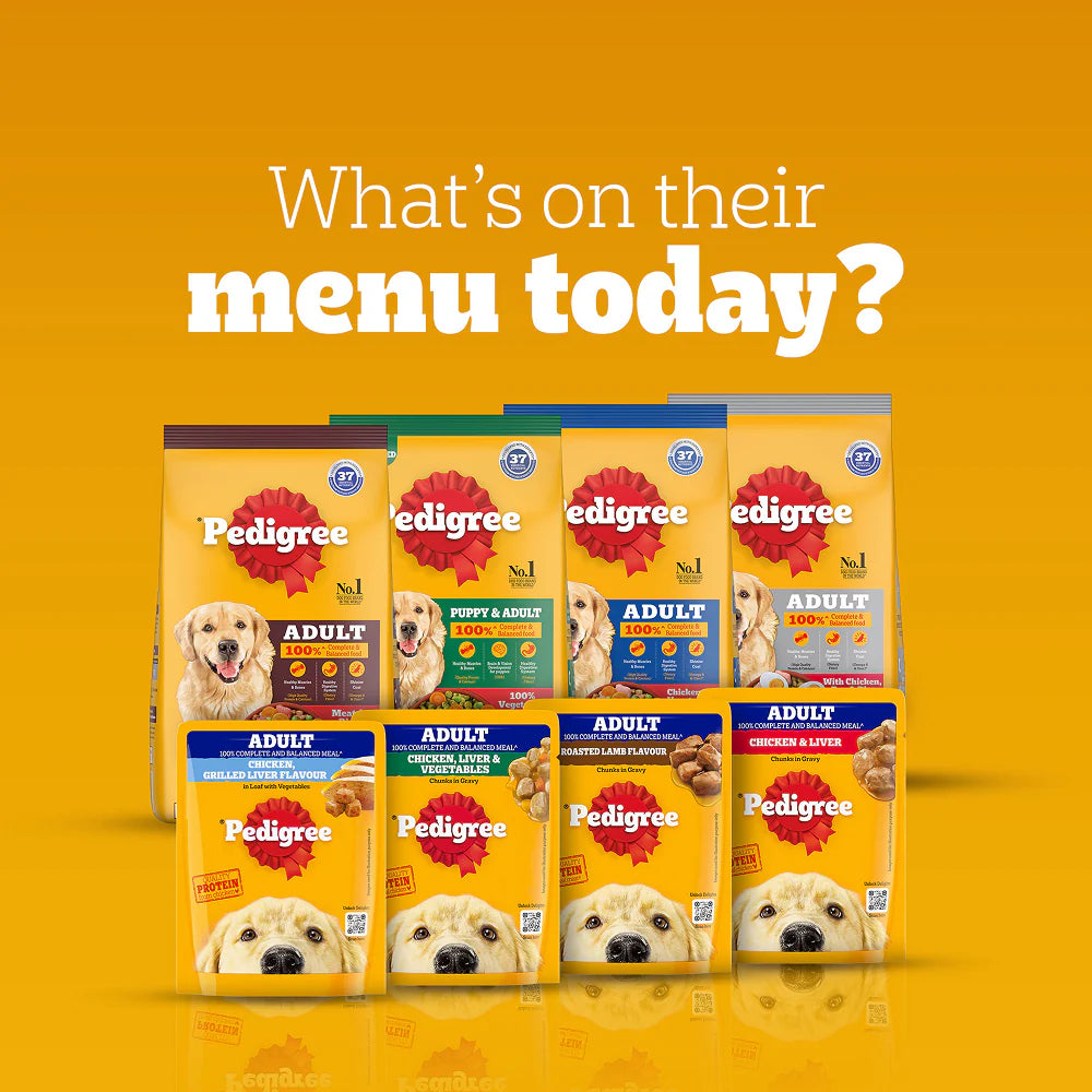 Pedigree Chicken and Vegetables Adult Dog Dry Food