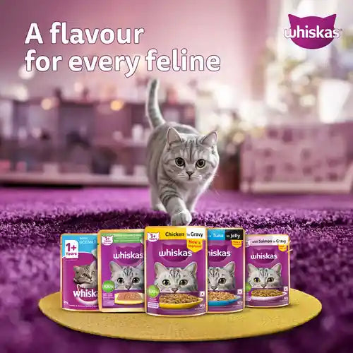 Whiskas Tuna in Jelly Adult Cat Wet Food