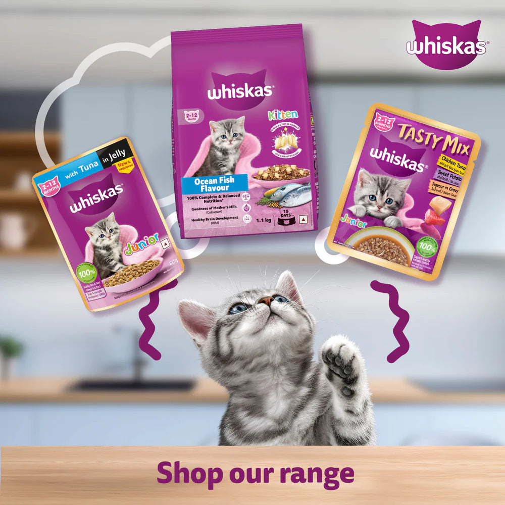 Whiskas Chicken in Gravy Kitten Wet Food