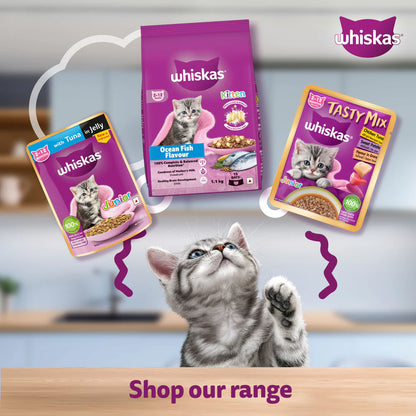 Whiskas Chicken in Gravy Kitten Wet Food