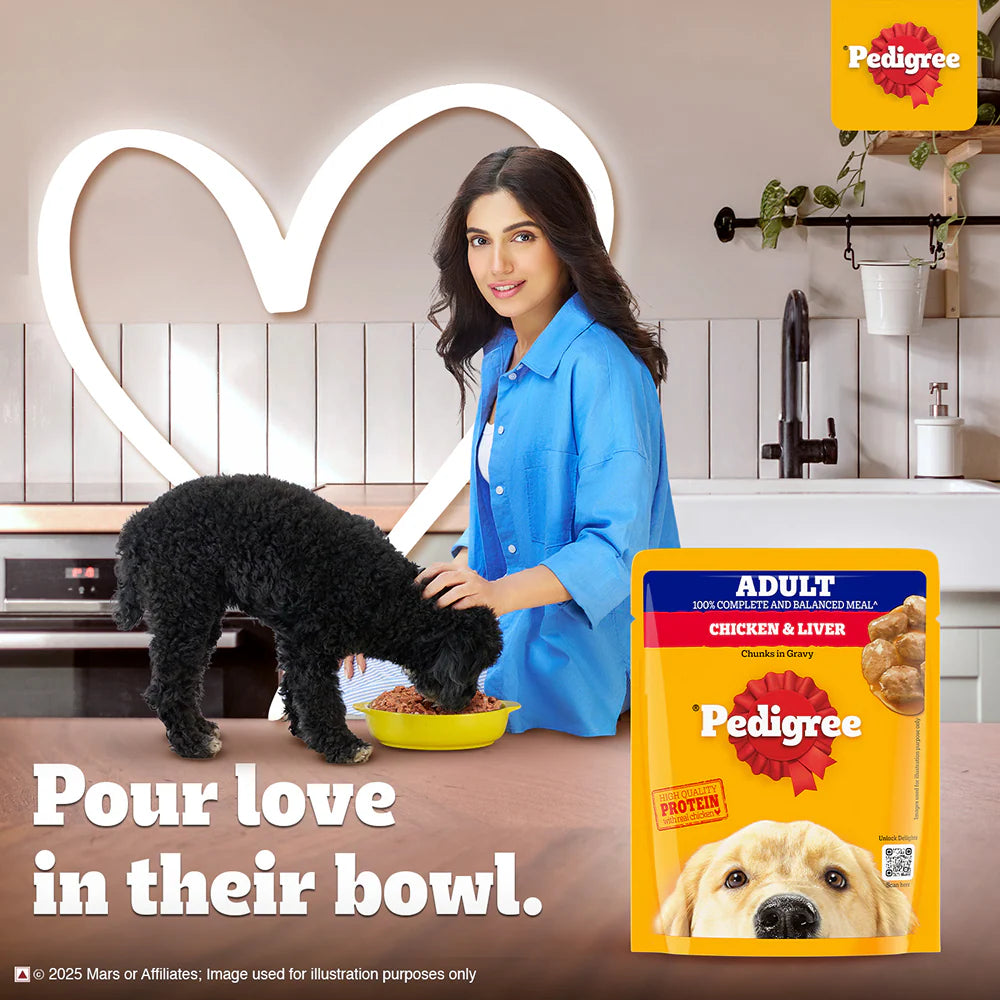Pedigree Chicken and Liver Chunks in Gravy Adult Dog Wet Food (70g)