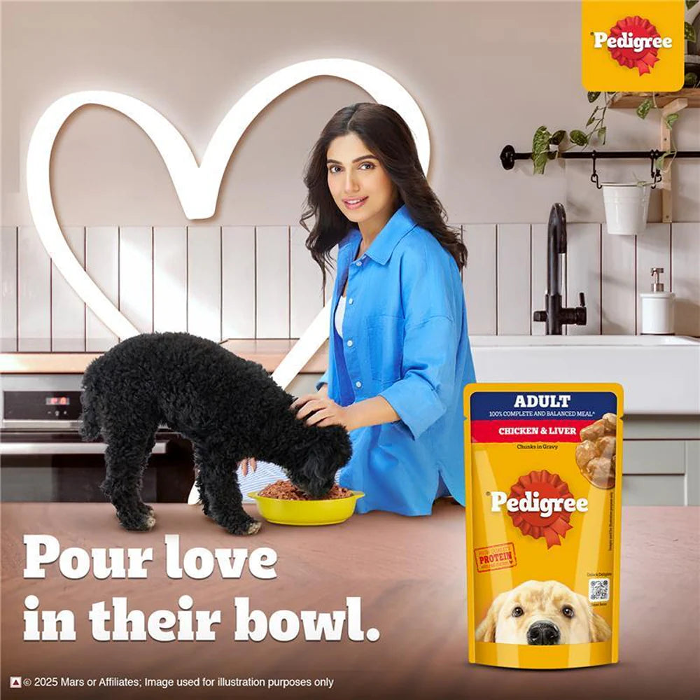 Pedigree Chicken and Liver Chunks in Gravy Adult Dog Wet Food (130g)
