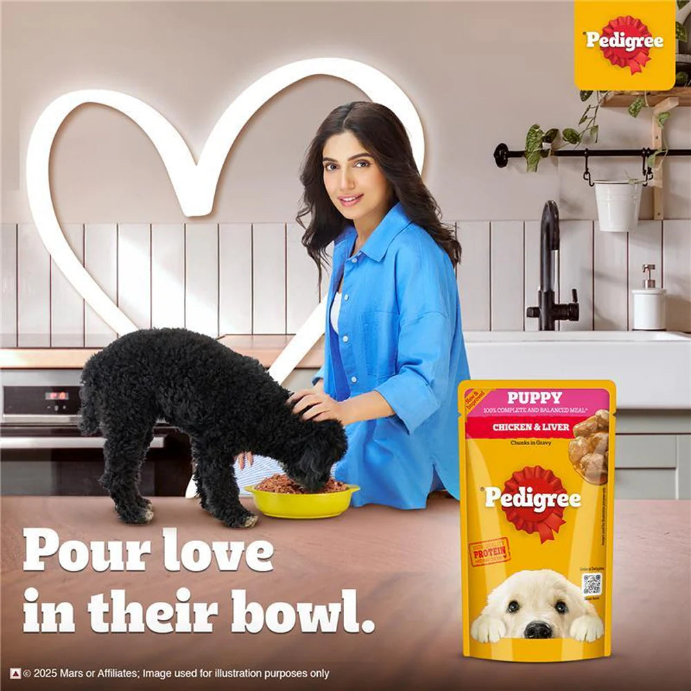 Pedigree Chicken and Liver Chunks in Gravy Puppy Dog Wet Food (130g)