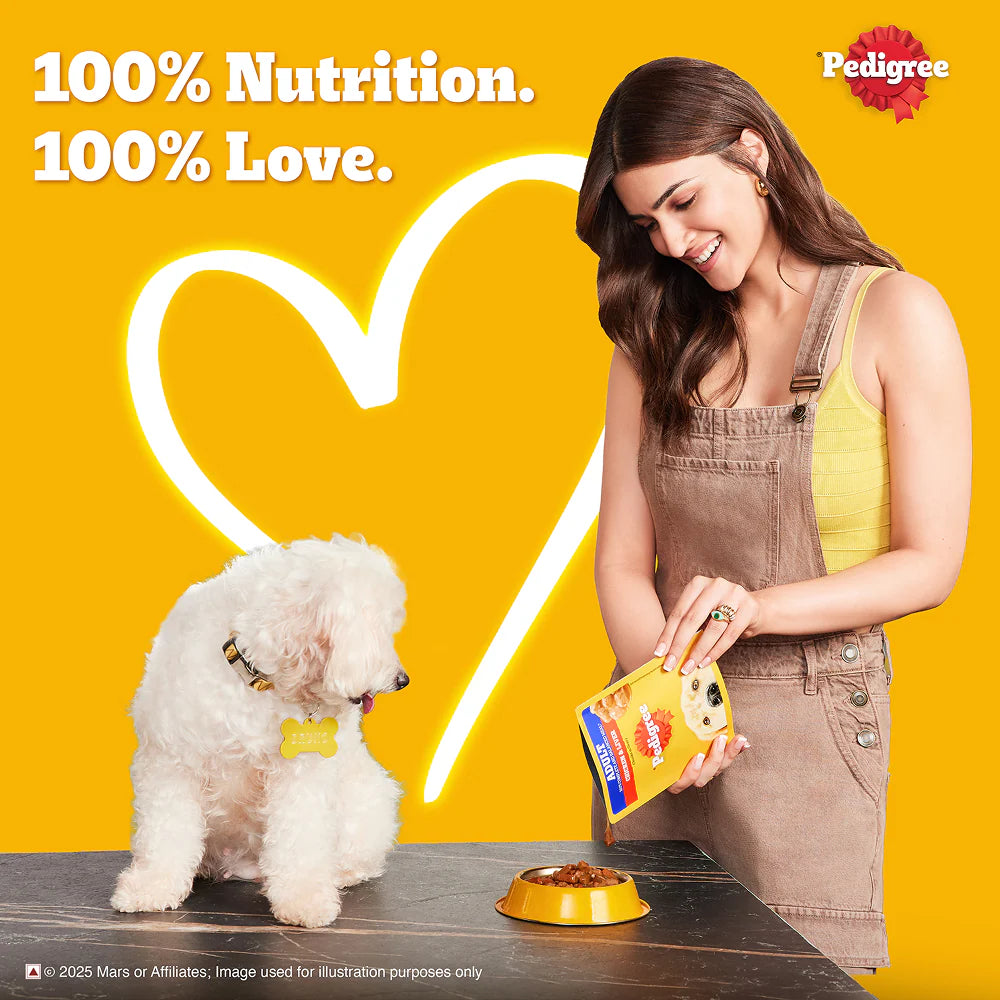 Pedigree Chicken and Liver Chunks in Gravy Adult Dog Wet Food (130g)