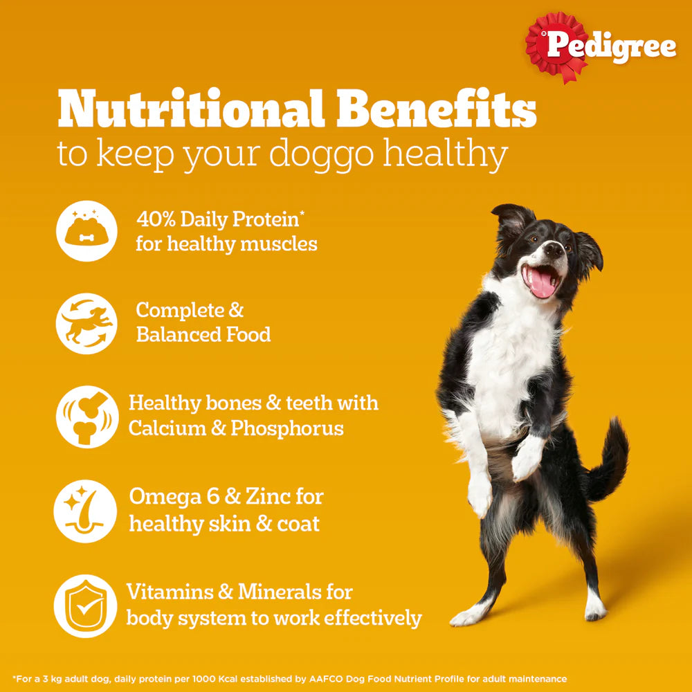 Pedigree Chicken and Liver Chunks in Gravy Puppy Dog Wet Food (70g)