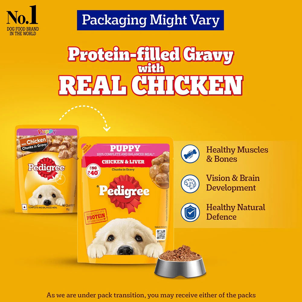 Pedigree Chicken and Liver Chunks in Gravy Puppy Dog Wet Food (70g)