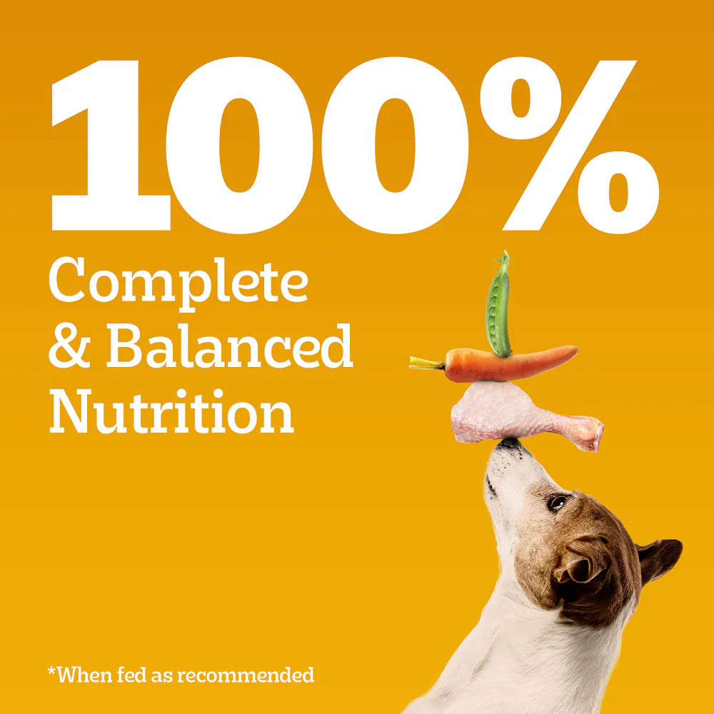 Pedigree Chicken and Vegetables Adult Dog Dry Food