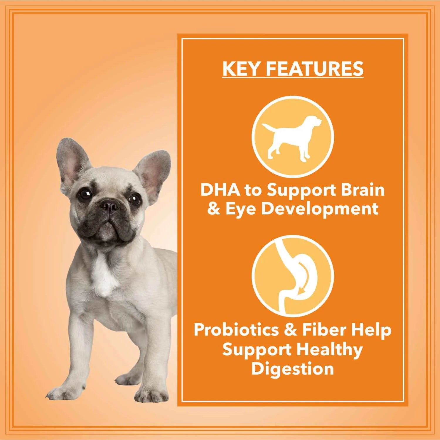 Let's Bite Active Puppy Chicken Dry Dog Food