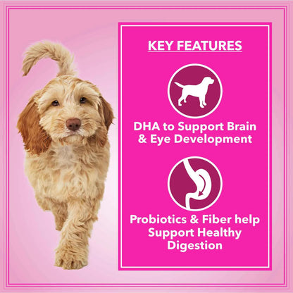 Let's Bite Active Adult Chicken Dry Dog Food (Agra)