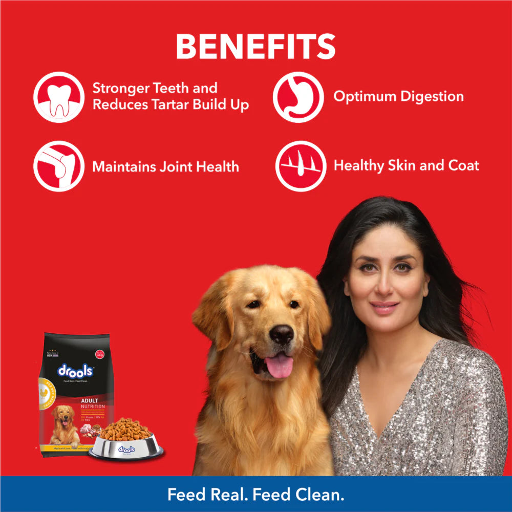 Drools Chicken And Egg Adult Dog Dry Food (Agra)