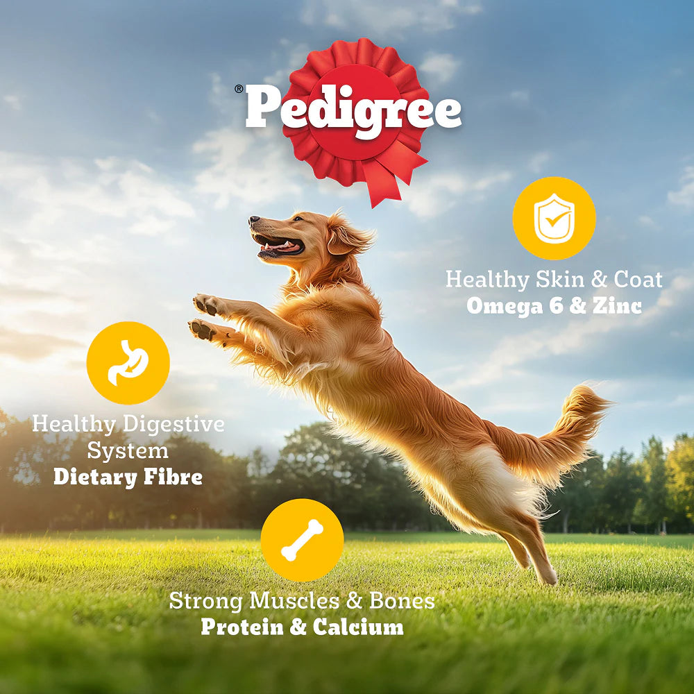 Pedigree Chicken and Vegetables Adult Dog Dry Food