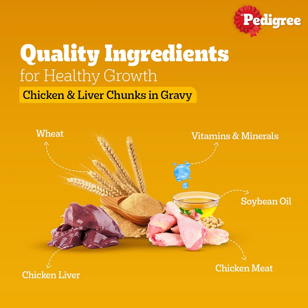 Pedigree Chicken and Liver Chunks in Gravy Adult Dog Wet Food (130g)