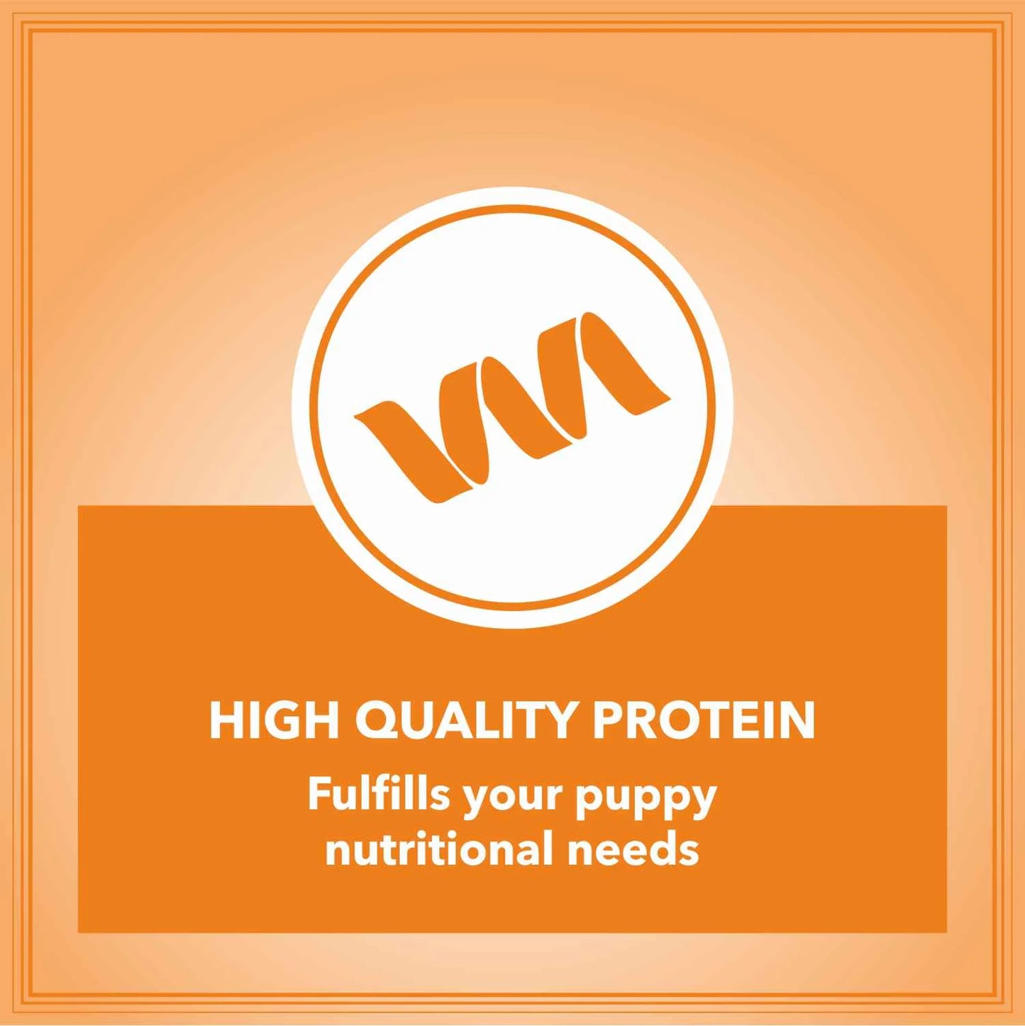Let's Bite Active Puppy Chicken Dry Dog Food (Agra)