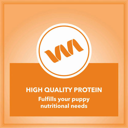 Let's Bite Active Puppy Chicken Dry Dog Food (Agra)
