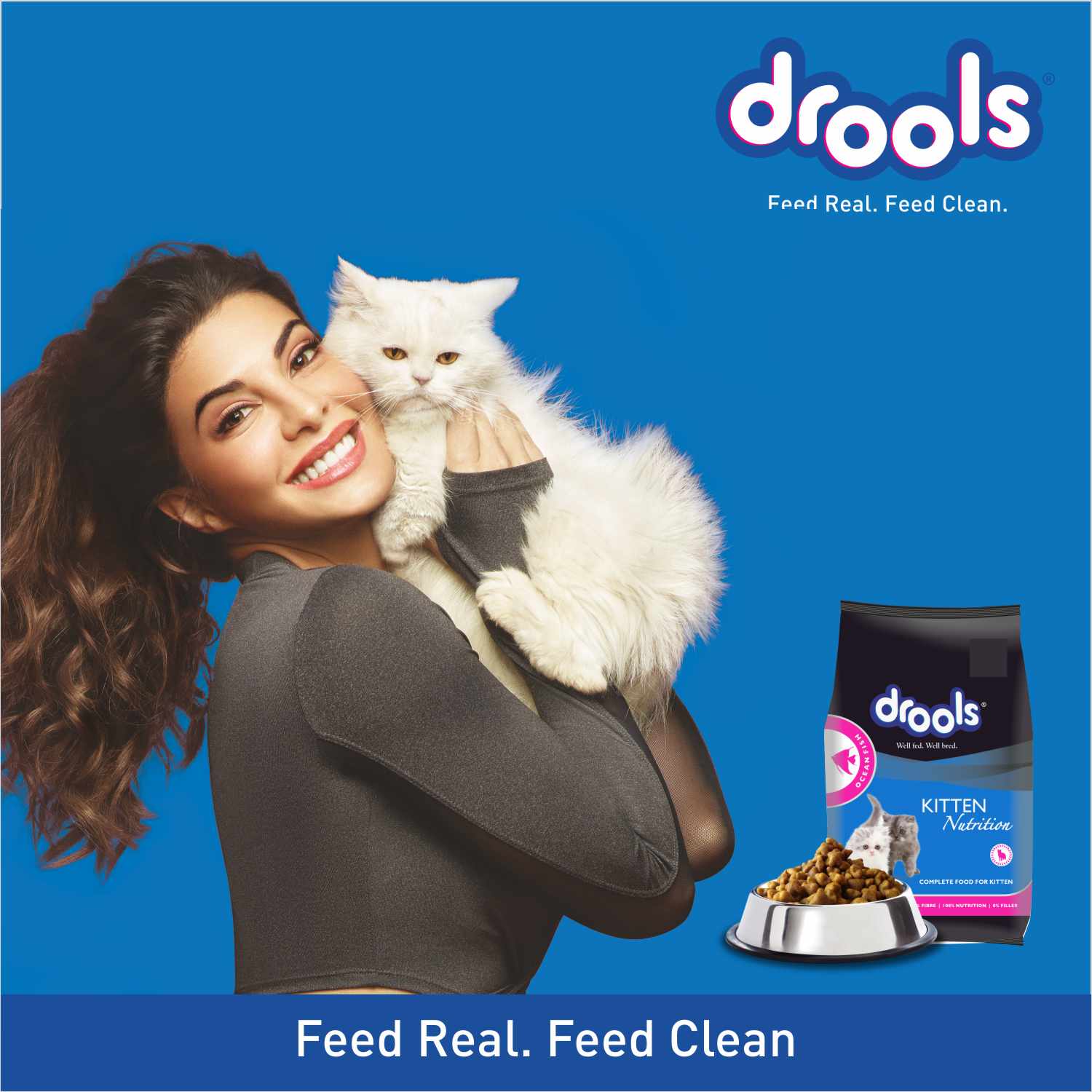 Drools Ocean Fish Kitten Cat Dry Food 3kg
