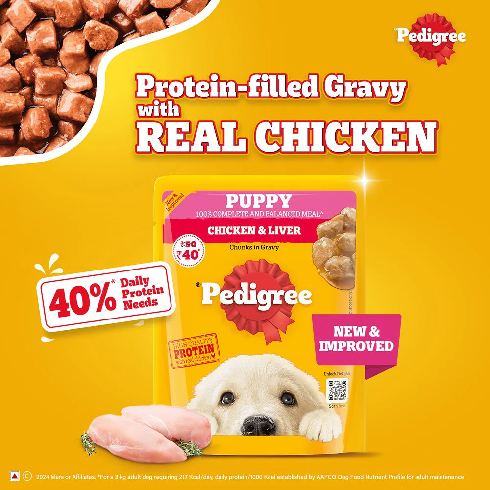 Pedigree Chicken and Liver Chunks in Gravy Puppy Dog Wet Food (70g)