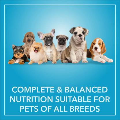 Purepet Chicken & Vegetable Puppy Dog Dry Food (Agra)