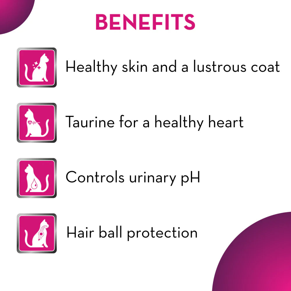 Maxi Adult Ocean Fish Cat Dry Food