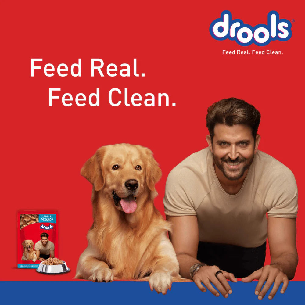 Drools Real Chicken & Chicken Liver Chunks in Gravy Adult Dog Wet Food (Agra)