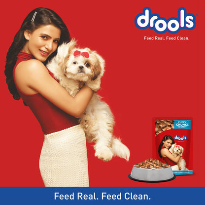 Drools Real Chicken & Chicken Liver Chunks in Gravy Puppy Dog Wet Food (Agra)