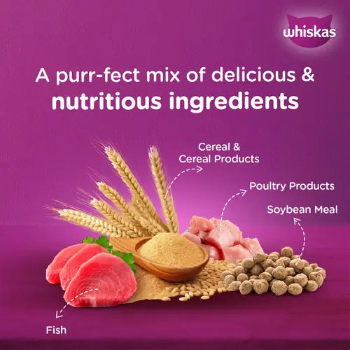 Whiskas Ocean Fish Adult Cat Dry Food