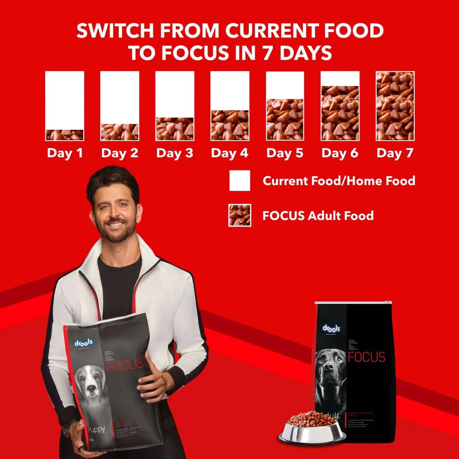 Drools Focus Adult Dog Food – Super Premium, Corn & Wheat Free