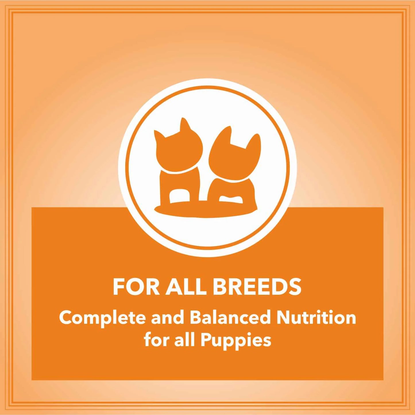 Let's Bite Active Puppy Chicken Dry Dog Food (Agra)