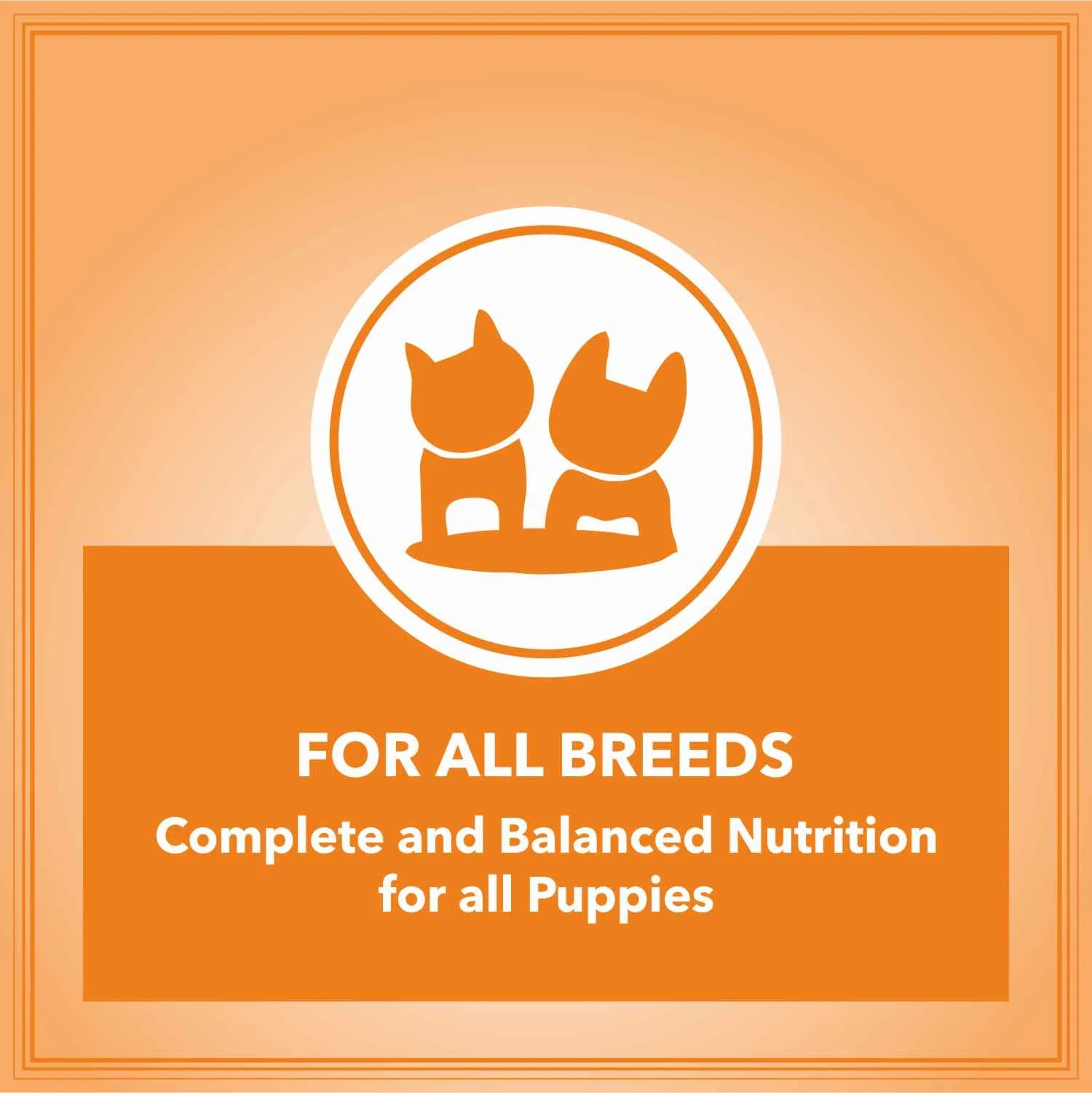 Let's Bite Active Puppy Chicken Dry Dog Food