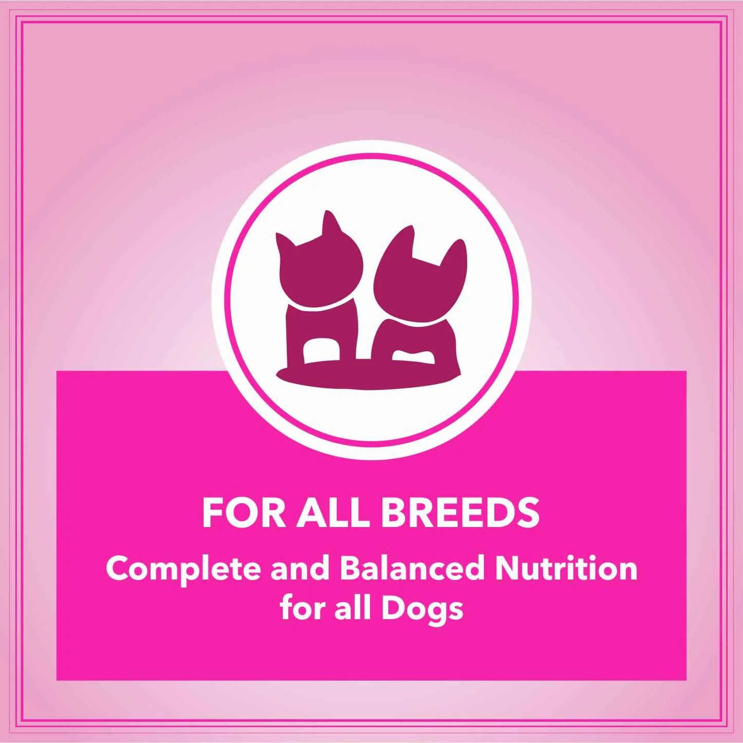 Let's Bite Active Adult Chicken Dry Dog Food (Agra)