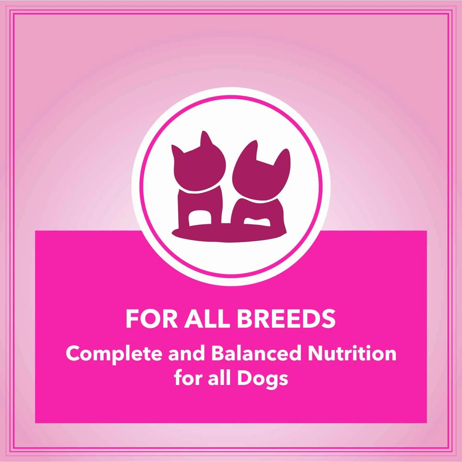 Let's Bite Active Adult Chicken Dry Dog Food