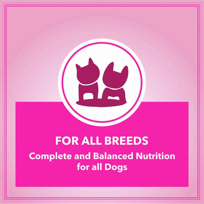 Let's Bite Active Adult Chicken Dry Dog Food (Agra)