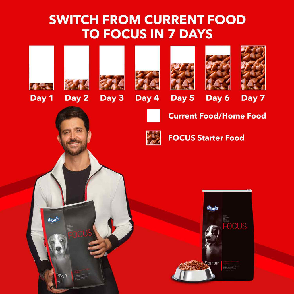 Drools Focus Starter Dog Food – Super Premium, Corn & Wheat Free