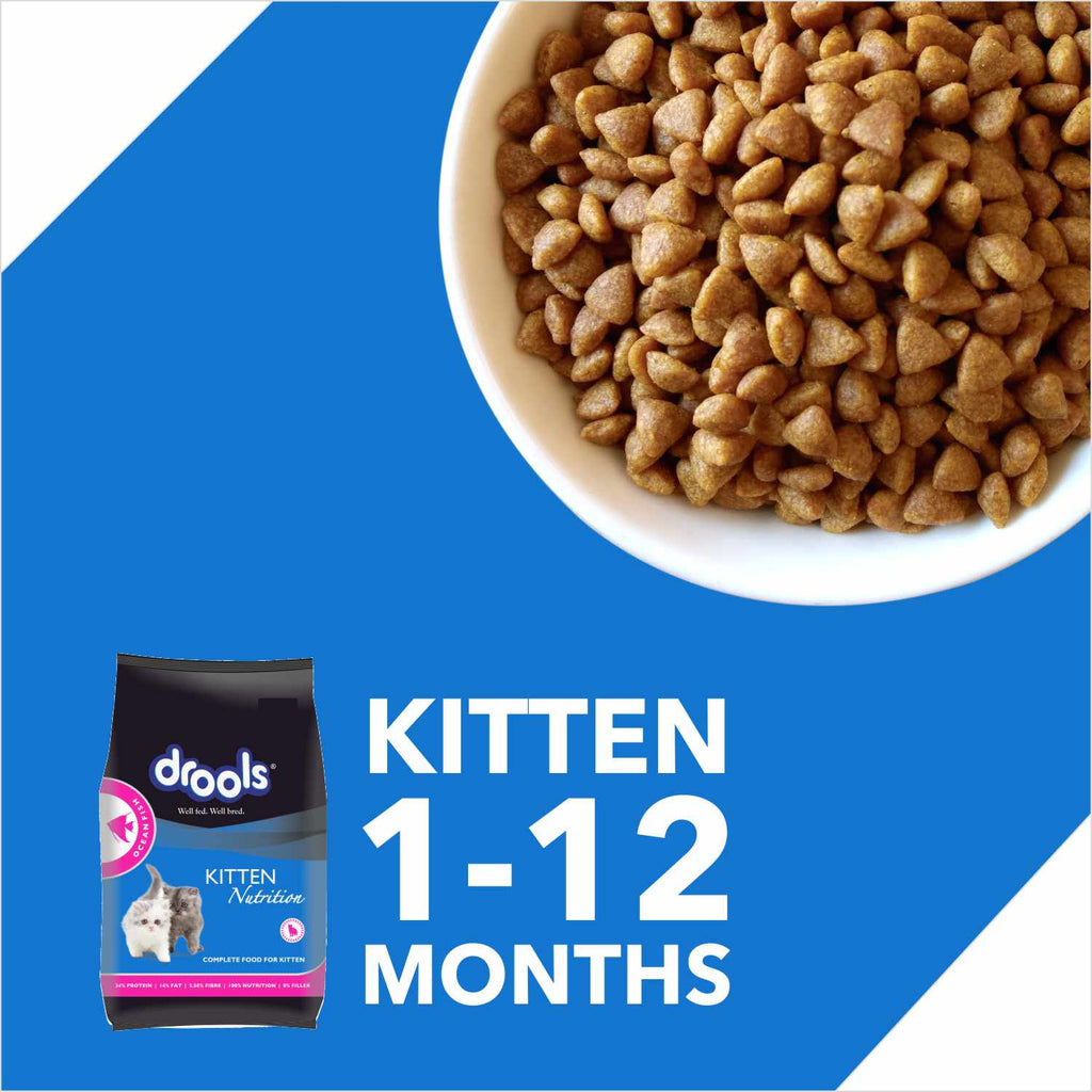 Drools Ocean Fish Kitten Cat Dry Food 3kg