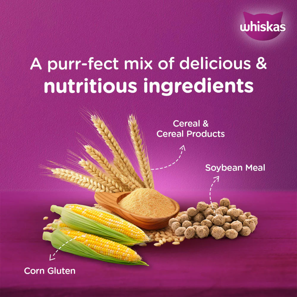 Whiskas Ocean Fish Kitten Dry Food