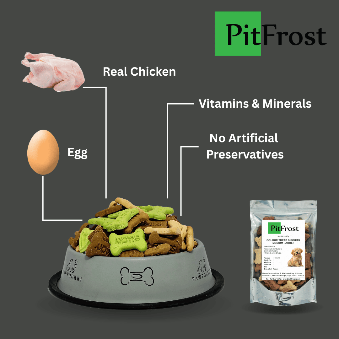 PitFrost Colour Treat Biscuits Medium Adult