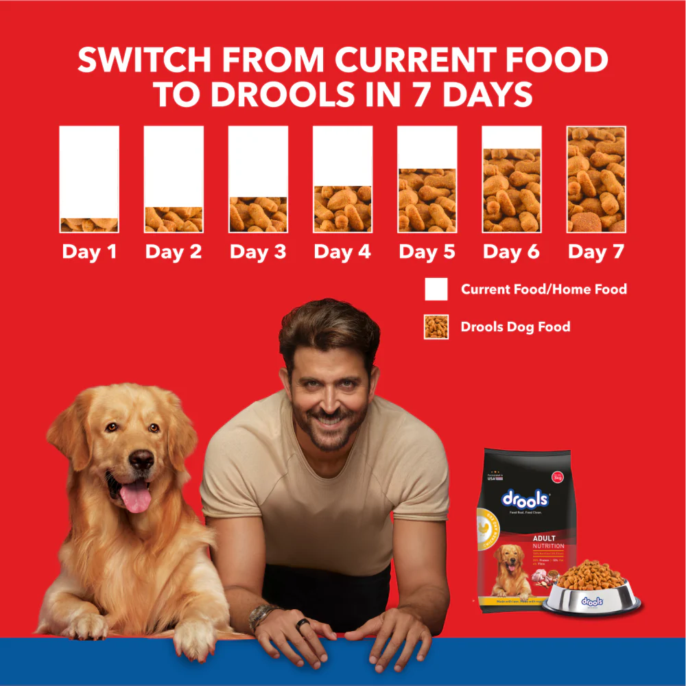 Drools Chicken And Egg Adult Dog Dry Food 10Kg