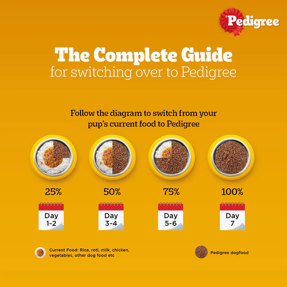Pedigree Chicken and Liver Chunks in Gravy Puppy Dog Wet Food (70g)