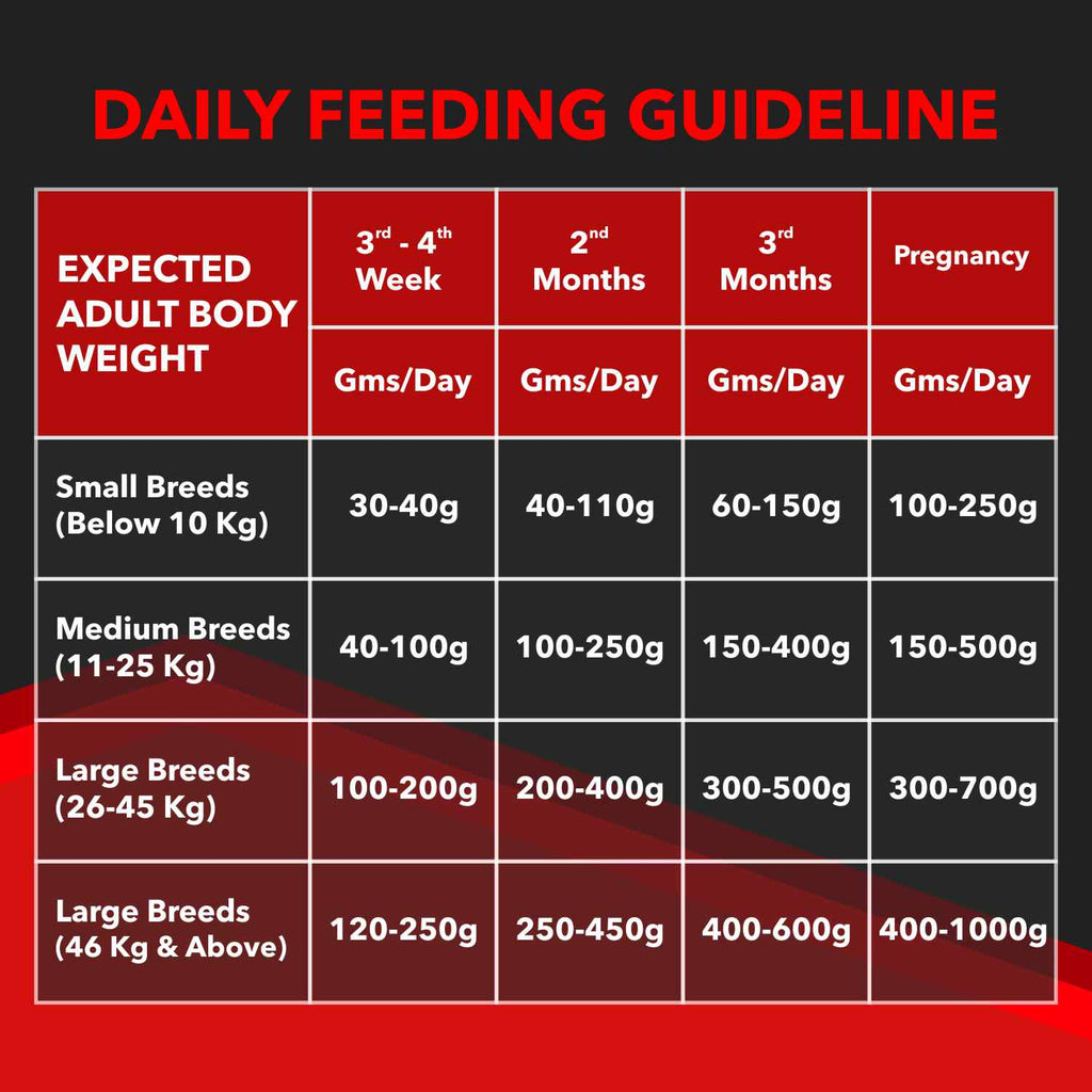 Drools Focus Starter Dog Food – Super Premium, Corn & Wheat Free