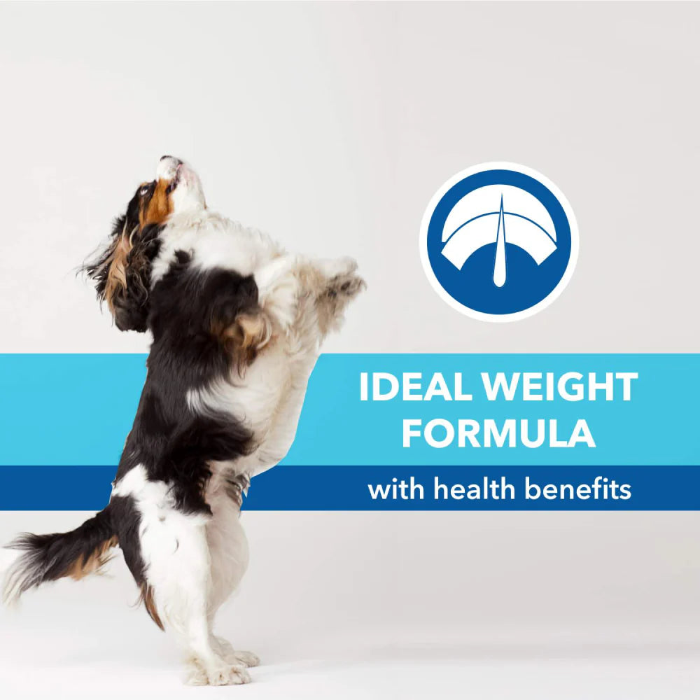 Purepet Chicken & Vegetable Puppy Dog Dry Food (Agra)