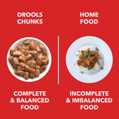 Drools Real Chicken & Chicken Liver Chunks in Gravy Adult Dog Wet Food (Agra)
