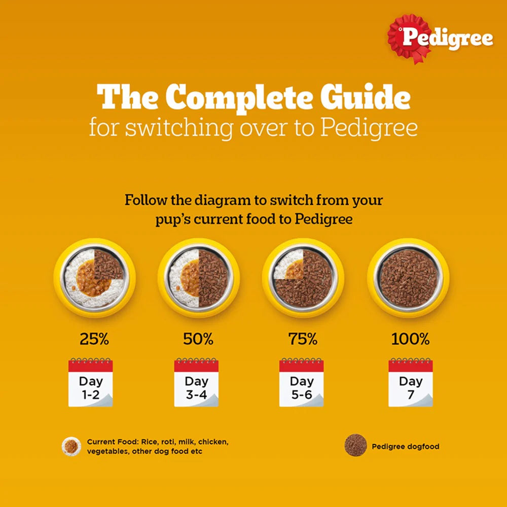 Pedigree Chicken and Liver Chunks in Gravy Adult Dog Wet Food (130g)