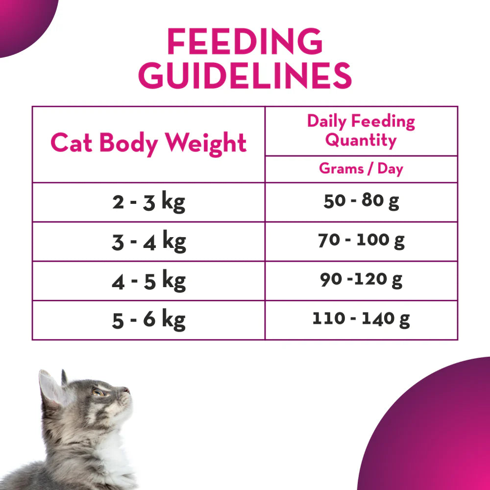 Maxi Adult Ocean Fish Cat Dry Food