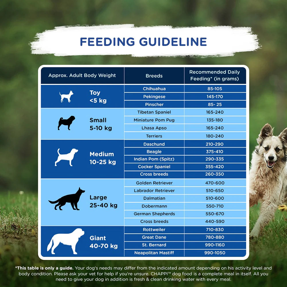 Chappi Chicken & Rice Adult Dog Dry Food